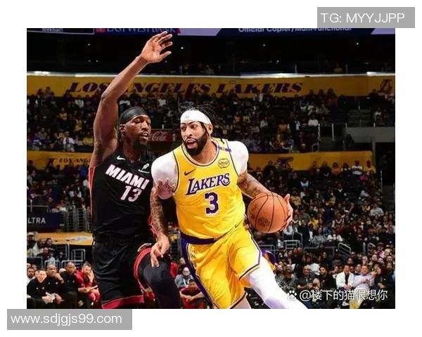 湖人对决热火精彩瞬间回顾与赛场趣事分享